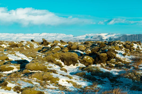 アイスランドの冬の風景 苔で覆われた固化した溶岩のフィールドは雪で覆われている — ストック写真