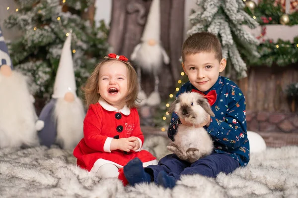 Маленьких Детей Санта Подарил Пушистого Кролика Рождество Семейные Праздники Рождественские — стоковое фото