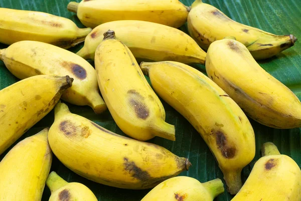 Плоская Компоновка Жёлтых Бананов Зелёном Банановом Листе Эко Еда — стоковое фото