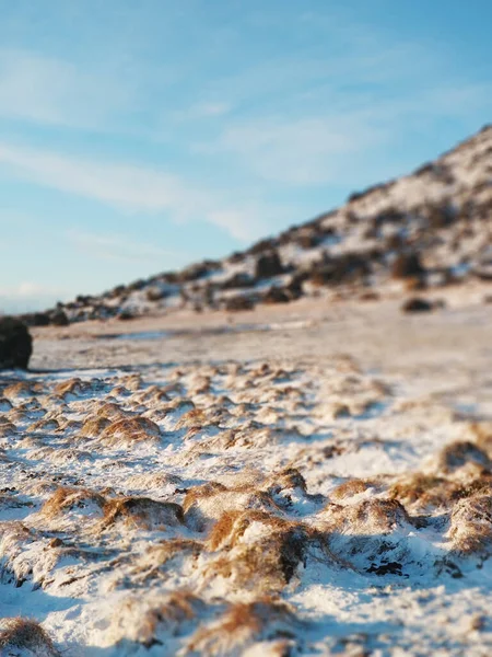 Field Frozen Lava Overgrown Moss Foot Mountain Iceland Winter Winter — Stock Photo, Image