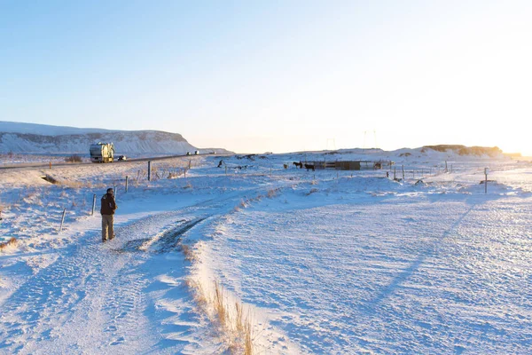 Турист Ходит Полю Исландии Зимой Наслаждается Красотой Зимних Природных Пейзажей — стоковое фото