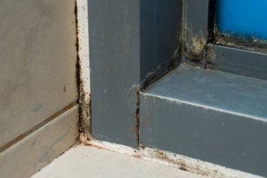 Duştaki eski plastik pencere çerçevesi. Küflü açı, mantar. Sorunlu alanlar duş alıyor