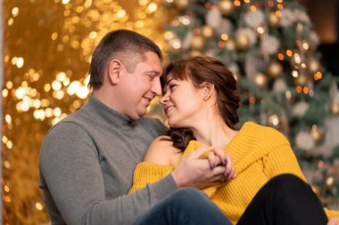 Güzel, neşeli bir çift Noel tatilini sıcak bir evde karşılıyor..