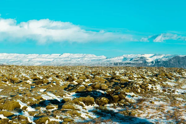 Vinterlandskap Island Ett Fält Stelnad Lava Täckt Med Mossa Täckt — Stockfoto