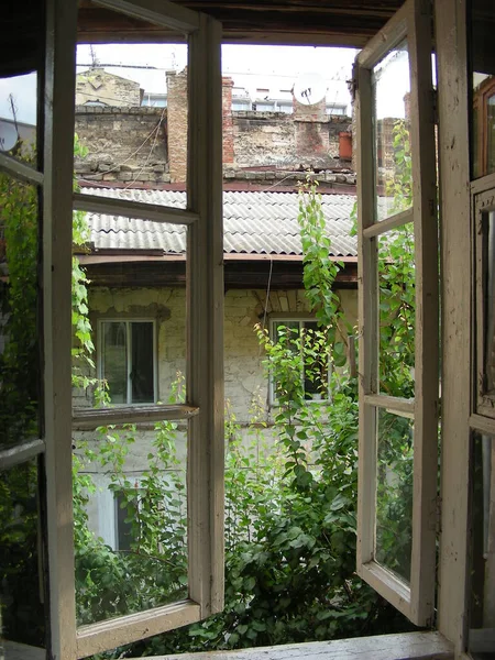 Unfavorable area of the city. View from the window of an abandoned house to the neighboring abandoned house.