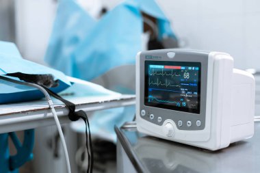 Ameliyat masasında arka planda köpek olan kalp monitörü. Hayvan cerrahisi. Dnipro / Ukrayna - 04.23.2019