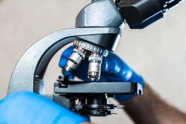 Erkek laboratuvar asistanı mikroskopta biyomateryal örnekleri inceliyor. Ellerinizi mavi lastik eldivenlerle birleştirin. Mikroskobu ayarlayın..