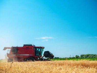 Yazın buğday hasadı. Tarlada çalışan kırmızı hasatçı. Sahada altın olgunluğunda buğday hasat makinesi hasat makinesi var. Dnipro / Ukrayna - 04.27.2019