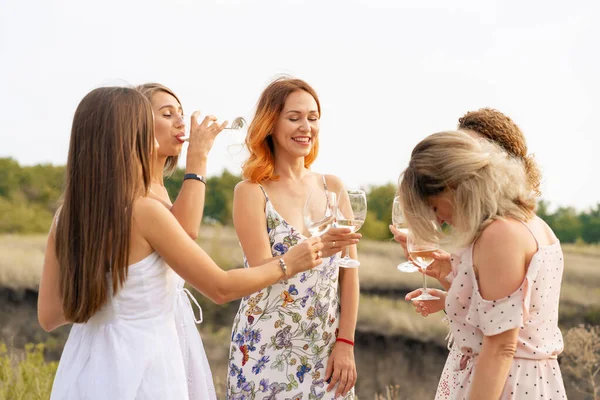 Company Female Friends Enjoys Summer Picnic Raise Glasses Wine — Stock Photo, Image