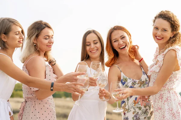 Company Female Friends Enjoys Summer Picnic Raise Glasses Wine — Stock Photo, Image