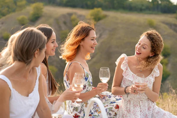 Company Gorgeous Female Friends Having Fun Drink Wine Enjoy Hills — Stock Photo, Image