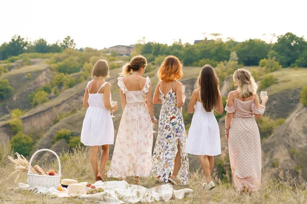 Blick Von Hinten Die Gesellschaft Hinreißender Freundinnen Genießt Eine Sommergrüne — Stockfoto