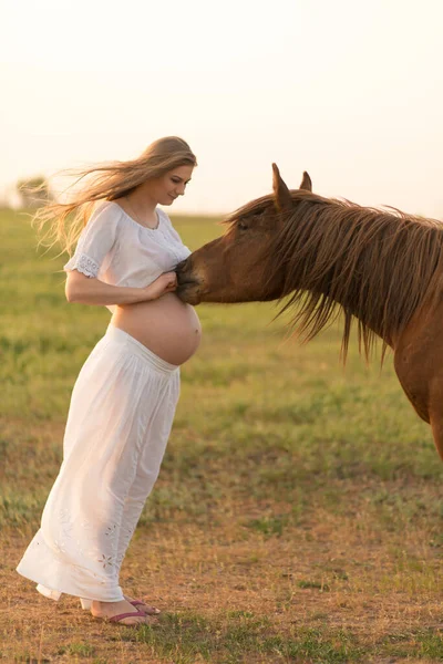 Una Ragazza Incinta Bianco Comunica Con Cavallo Prato Verde Tramonto — Foto Stock