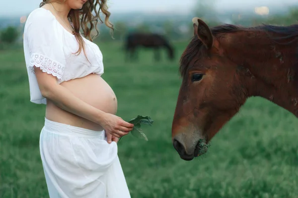 Ciężarna Dziewczyna Bieli Komunikuje Się Koniem Zielonej Łące Terapia Relaks — Zdjęcie stockowe