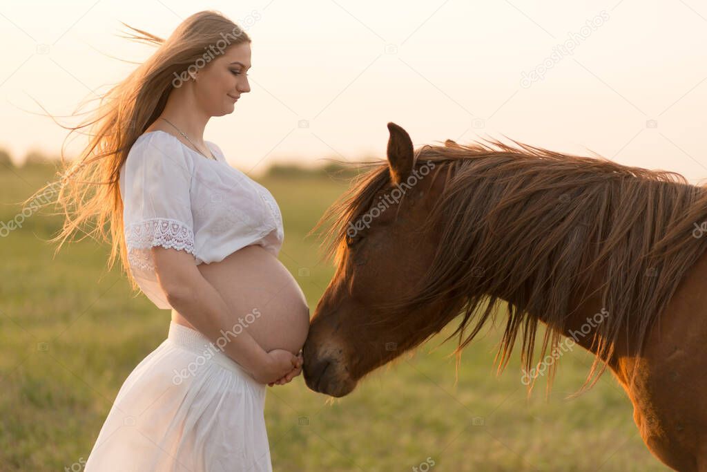A pregnant girl in white communicates with a horse on a green meadow at sunset. Therapy and relaxation for pregnant women. Antistress therapy.