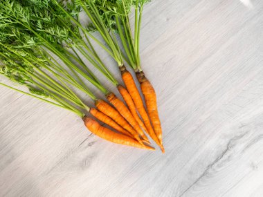 Sadece bahçeden taze havuç. Açık arkaplanda yeşil saplı turuncu havuçlar. İştah açıcı sağlıklı sebze..