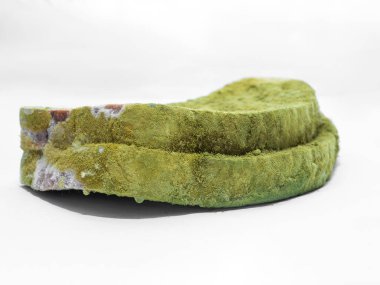 Beyaz arka planda yeşil küfle kaplı bir parça ekmek izole edilmiş..