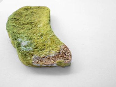 Beyaz arka planda yeşil küfle kaplı bir parça ekmek izole edilmiş..