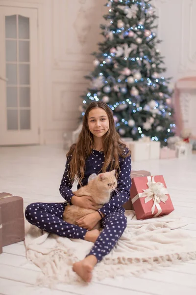 Девушка Проводит Рождественские Каникулы Своей Кошкой — стоковое фото