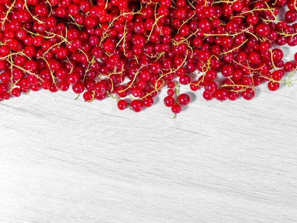 Red Currants Were Plucked Bush Piled Half Frame Red Currants — Stock Photo, Image