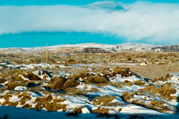 Vinterlandskap Island Ett Fält Stelnad Lava Täckt Med Mossa Täckt — Stockfoto