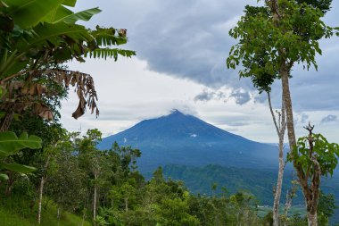 Agung Dağı 'nın panoraması ve Bali adasındaki pirinç tarlaları. Dağın arka planında palmiye ağaçları ve mısır tarlaları var. Agung volkanı yağmurlu bir günde bulutlarla kaplı.