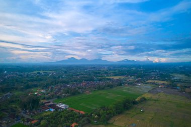 Agung Dağı Panoraması ve Bali Adası 'ndaki pirinç tarlaları.