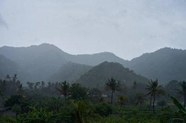 Artan dağlar ve palmiye ağaçları olan pirinç tarlasında tropik bir yağmur fırtınası.