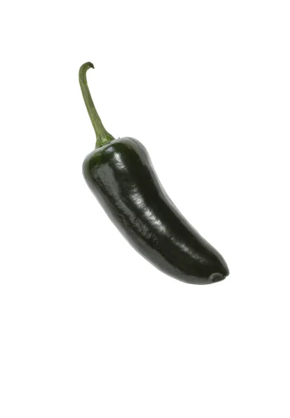 Single green jalapeno pepper isolated on white background — Stock Photo, Image