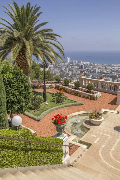 Jardim Ornamental Genuíno Projetado Com Oliveiras Nos Terrenos Templo Baha — Fotografia de Stock