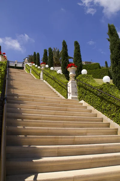 Bahçedeki Merdivenler — Stok fotoğraf