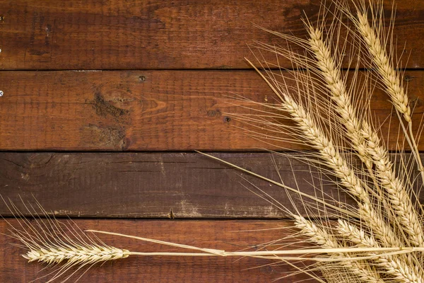 Зерна Пшеницы Выветриваемом Деревянном Фоне Копировальным Пространством Стоковое Изображение