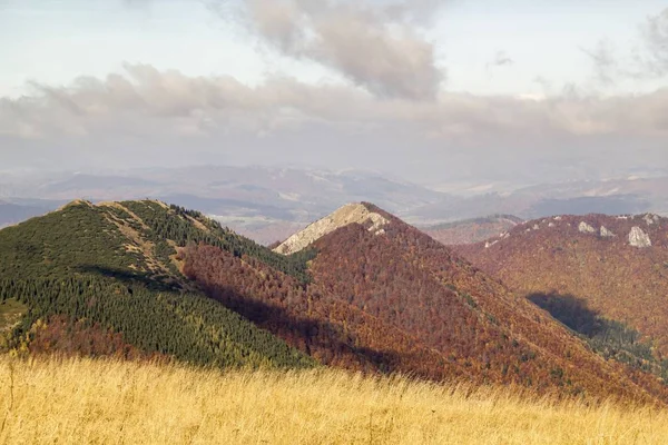 Podzimní Krajina Národního Parku Malá Fatra Slovensko Karpaty Evropa — Stock fotografie