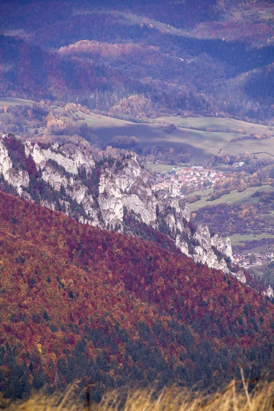 Herfst Landschap Een Nationaal Park Mala Fatra Slowakije Karpaten Europa — Stockfoto