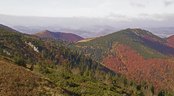 Podzimní Krajina Národního Parku Malá Fatra Slovensko Karpaty Evropa — Stock fotografie