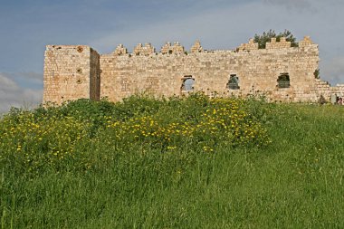 Antik kale Harabeleri Tel psikolojik-Antipatris - en erken (müstahkem) Kraliyet Canaanite şehir, etkileyici Osmanlı kalesi kalıntıları ve Herod.Israel tarafından inşa Antipatris Roma Şehir antik Decumanus (ana cadde), kalıntıları