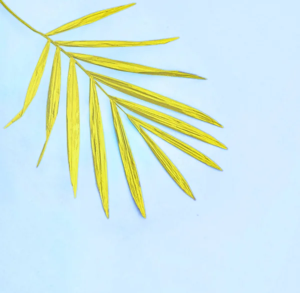 Тропический Жёлтый Пальмовый Лист Синем Фоне Модный Минимальный Поп Арт — стоковое фото