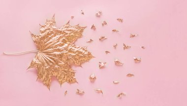 Sonbahar altın akçaağaç yaprağı öğeleri kırıntıları ile pastel pembe Kağıt arka plan üzerinde yükseldi. Metin için yer ile en az yaratıcı kavramı. Üstten görünüm.
