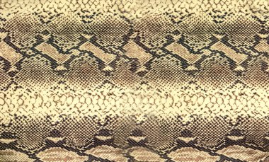 Yılan doku cilt. Sürüngen sorunsuz arka plan tasarımı için.
