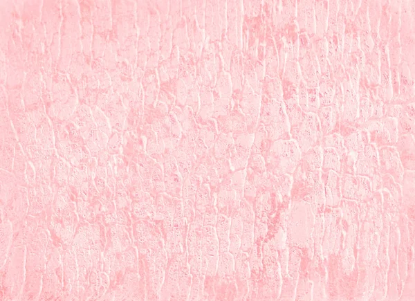 Pastel Pink Tree Bark Texture Background Design — Stock Photo, Image