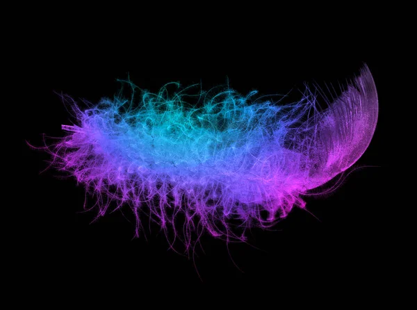 Neon Light Fluffy Feather Vivid Trendy Fluorescent Colors Black Background — Stock Photo, Image