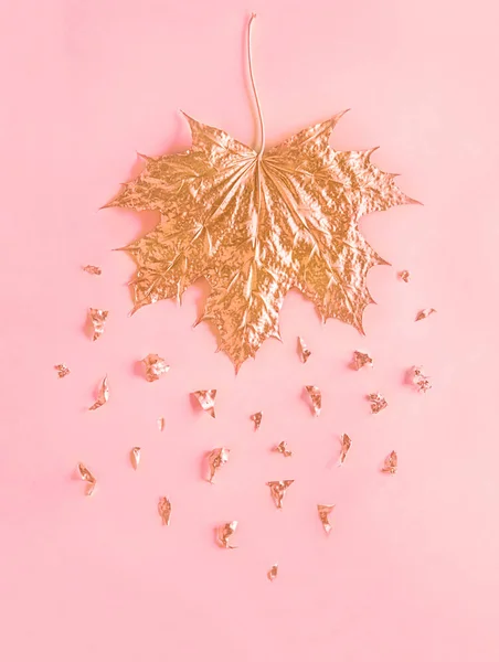 Złoty Jesienny Liść Klonu Okruszką Różowej Folii Tle Pastelowego Różowego — Zdjęcie stockowe
