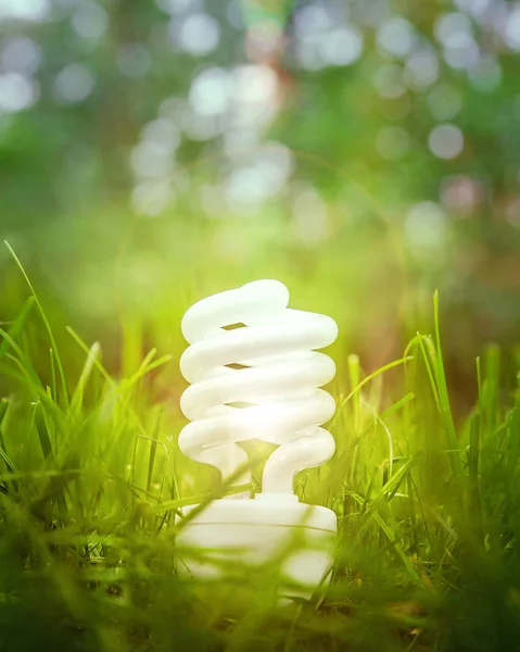 Energisparande Och Alternativa Makt Lampa Gröna Växter Bakgrund — Stockfoto