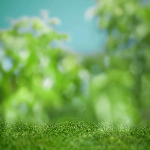 Абстрактный Размытый Фон Зеленой Травой Красотой Боке — стоковое фото
