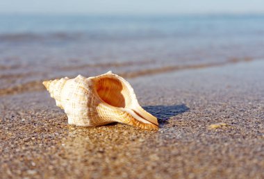 Yaz tatili arka planlarında deniz yüzeyi, güzel kum ve va