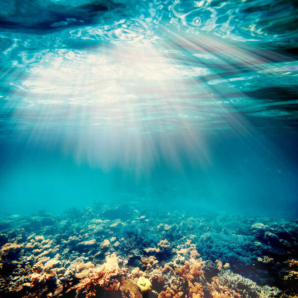 background sand on the beach underwater