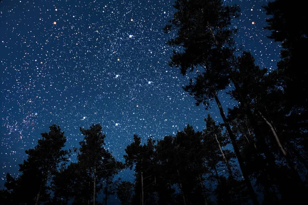 Silueta Gótico Volador Santa Claus Sobre Fondo Del Cielo Nocturno — Foto de Stock