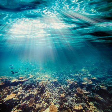 bir plaj su altında