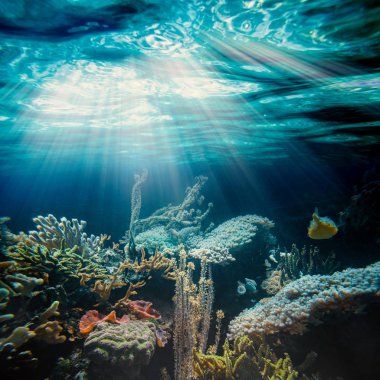 bir plaj su altında