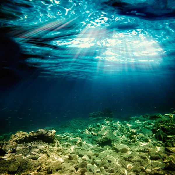 bir arka plan kum plajındaki su altında